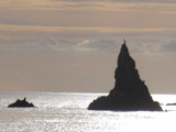 Climate change may lead to a change in salinity and acidity of the water. Researchers want to know whether flora and fauna that call that water home will adapt.