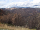 The Rim Fire burned into Yosemite, damaging parts of the terrain.  Now, scientists have moved in to study the impacts of the wildfire, including how the flames damaged rivers and streams.