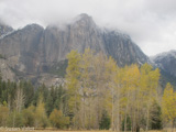 Scientists don't just study wildfire impacts in the park.  The protected space allows them to study a variety of topics, ranging from wildlife to snowfall.