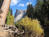 Yosemite's terrain, including Sentinel Rock, provides a wide area for researchers to cover. So they turn to technology. Park wildlife managers use GPS monitors to track bears to see how they use the park.